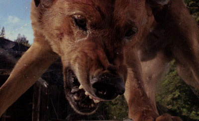 “Verbotenes Lichtspiel” #8 zeigt “Animal Horror”