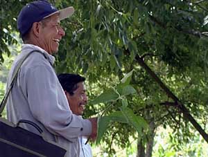 Premiere: “Medicina de todos – von Pflanzenheilern und Biopiraten in Chiapas”