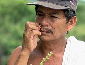 “Medicina de Todos – von Pflanzenheilern und Biopiraten in Chiapas” von Ulli Selle und Katja Reusch