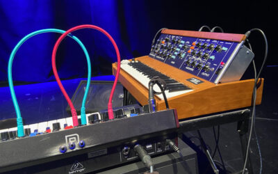 Frequenz_ Festival: The Minimoog Project: Zwitschern & Grollen