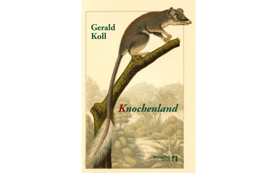 „Knochenland“ – historischer Roman von Gerald Koll