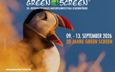 GREEN SCREEN feiert 20 Jahre Festivalgeschichte im Schleswig-Holsteinischen Landtag