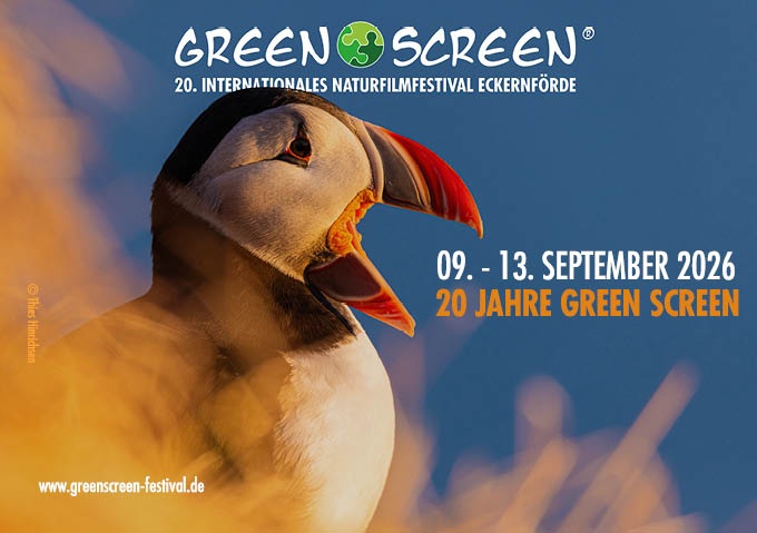 GREEN SCREEN Festivalmotiv 2026